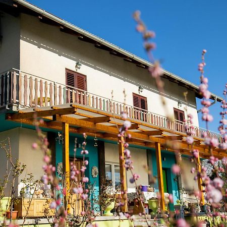 Farm Stay Synergia - Hiden Treasure Pazin Esterno foto