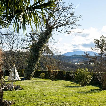 Farm Stay Synergia - Hiden Treasure Pazin Esterno foto